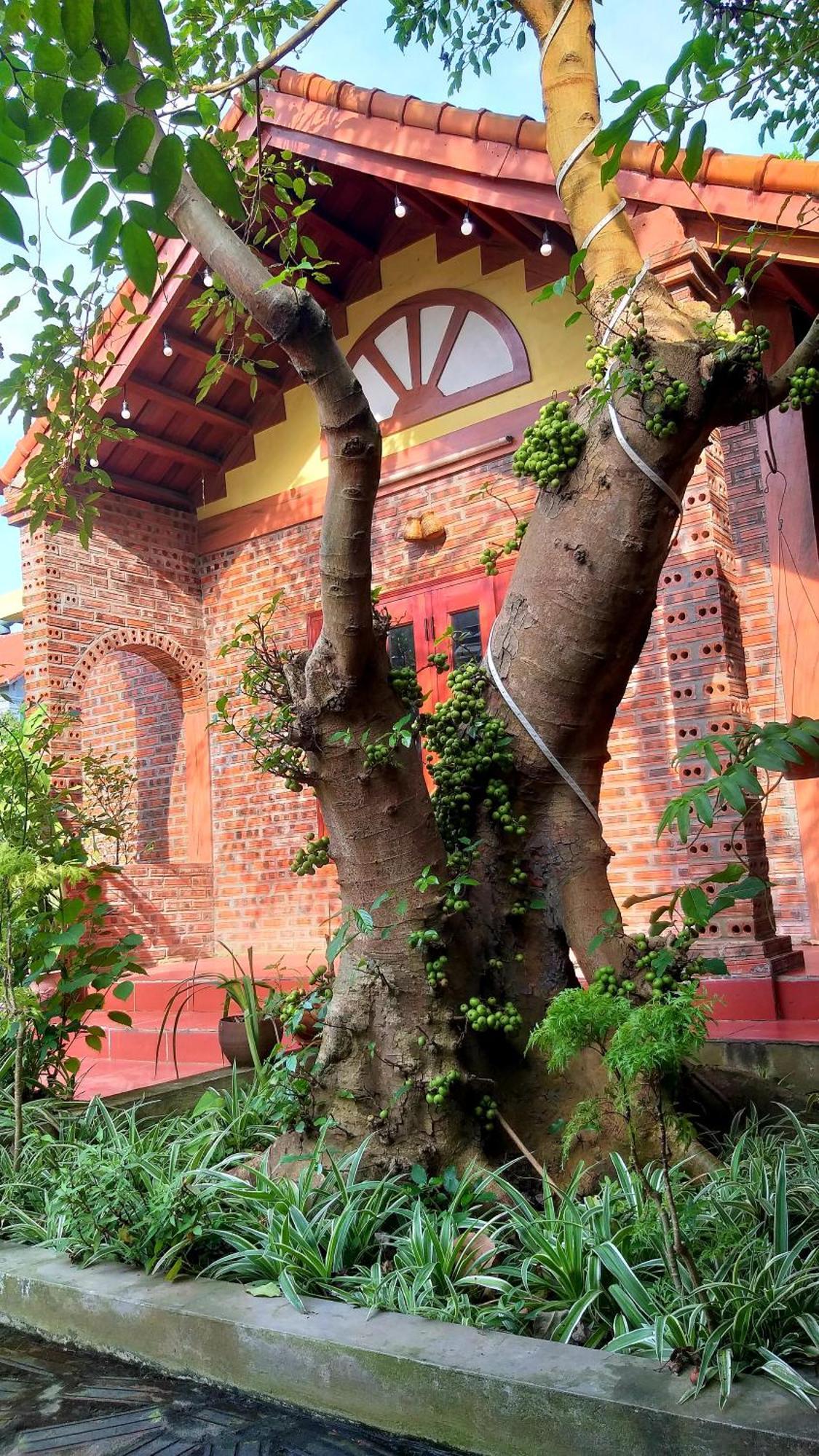 Tam Family Homestay Ninh Binh Exterior foto