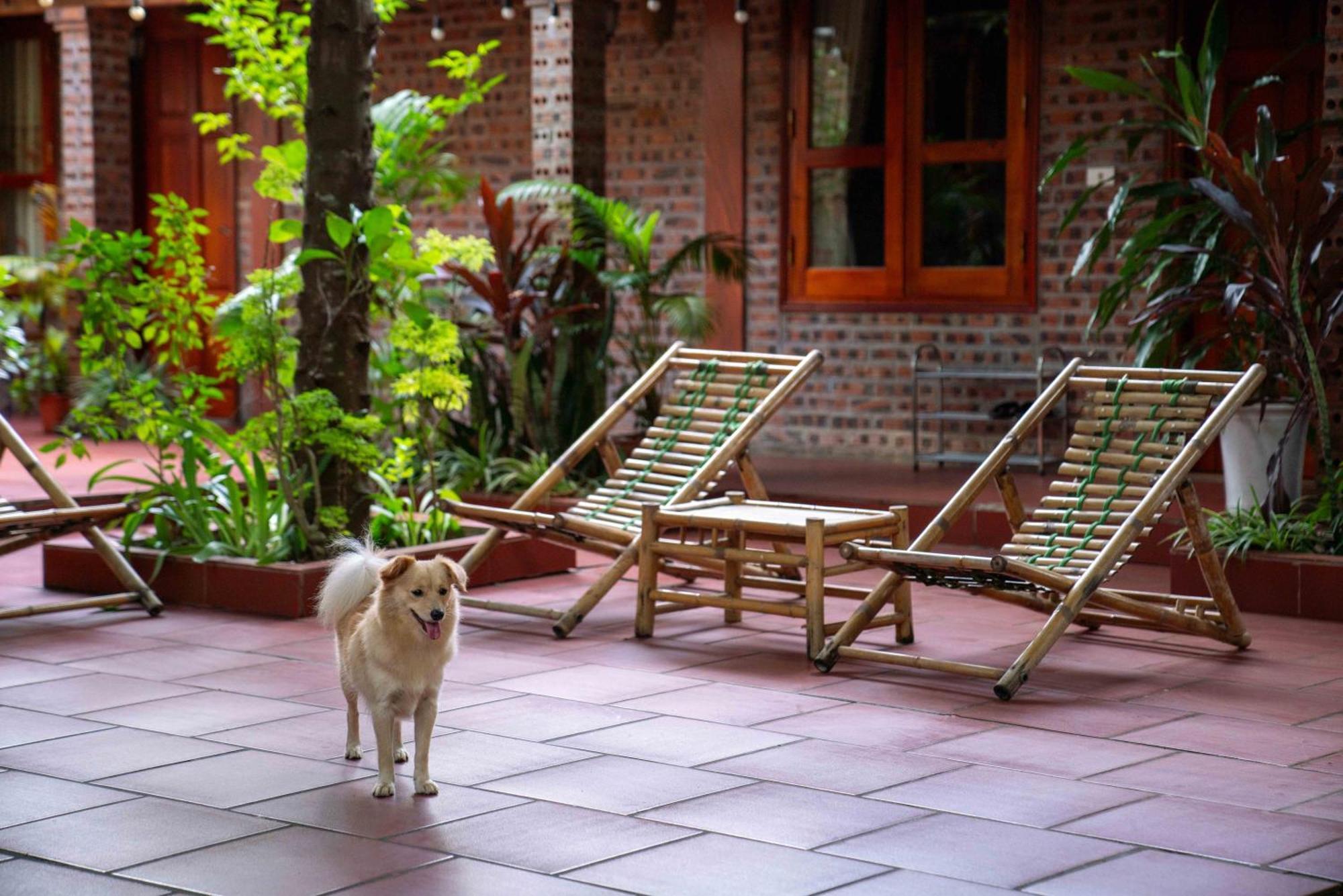 Tam Family Homestay Ninh Binh Exterior foto